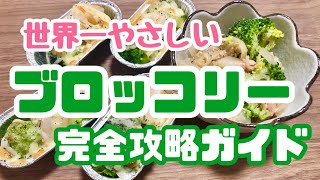 ブロッコリーの選び方・切り方・茹で方・保存方法🥦簡単レシピも！【管理栄養士うな】