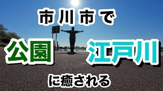 【平日】千葉県市川市の癒しスポットでメンタルを癒す(里見公園、江戸川など) Japan Chiba Ichikawa Satomi park