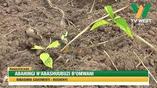 AGACENCWIRE: Abahingi n'abashuubuzi b'omwani nibasiima gavumenti- Bushenyi.