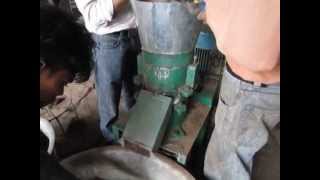 Biomass Fuel Pellet Press @ 125 Kilo per hour