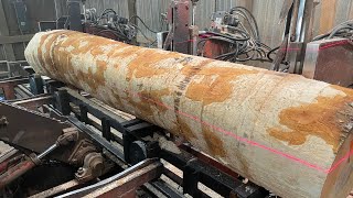 An Hour Long Hard Maple Saw-Milling ASMR!! #100