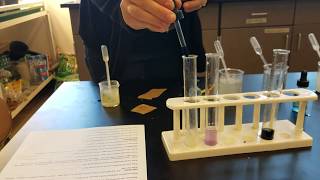 Macromolecule lab setup