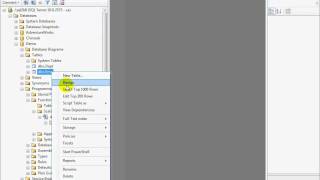 17-How to create and test an User Defined Function (Microsoft SQL Server)