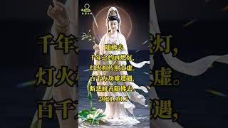 随佛去 #祇园未散#佛教 #烦恼 #危机 ##回家 #buddhism #解脱 #觉醒