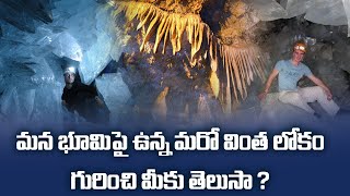 మన భూమిపై ఉన్న మరో వింత లోకం గురించి మీకు తెలుసా..? #planetleaf #facts #unknownfactstelugu