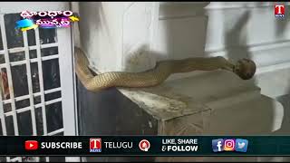 Snake entry in temple during Shivaratri celebration in Nirmal District | Dhoom Dhaam Muchata| T News