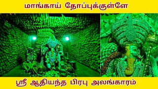 மாங்காய் தோப்புக்குள்ளே ஆதியந்த பிரபு அலங்காரம் வைகாசி மாத சங்கடஹர சதுர்த்தி பூஜை  || 26.05.2024 ||