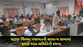 Patan News: પાટણ જિલ્લા પંચાયતની સામાન્ય સભામાં કરાઈ આઠ સમિતિની રચના