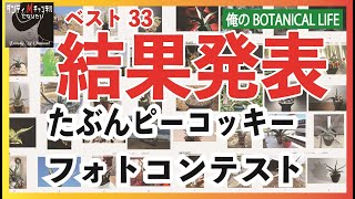 【ついに結果発表！】アガベ「たぶんピーコッキーフォトコンテスト」賞品を手にする33作品　これを見ればピーコッキーのイメージが変わる