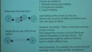 Behavioral Neuroscience Lab, Lec 6, Psychology 116, UCLA