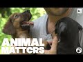 Animal Matters: Episode 3