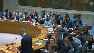 U.N. Security Council to hold emergency meeting on Rafah airstrike