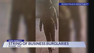 Police investigating string of burglaries in Bowie