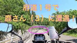 道の駅和から府道１号へ