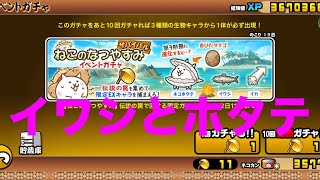 #にゃんこ大戦争 ねこのなつやすみ　イベントガチャ　10連続