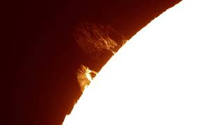 Prominences on the Sun on April 07, 2022.