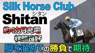 【一口馬主】シルク抽優馬で出資した馬がデビュー４戦目へ出走「シタン」