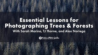 Lessons for Photographing Trees \u0026 Forests (Webinar) w/ Sarah Marino, TJ Thorne, and Alex Noriega