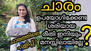 ചാരം എങ്ങിനെ നമുക്ക് ശരിയായ രീതിയിൽ അടുക്കളത്തോട്ടത്തിൽ ഉപയോഗിക്കാം