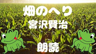 【朗読】作：宮沢賢治『畑のへり』【低音ボイス男性】