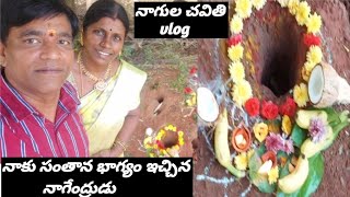 |నా ఉద్దేశంలో ఎక్కువ భయ భక్తితో చేసే పూజ నాగుల చవితి పూజ మీరు అంతేనా|