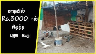 🕊️🕊️மாடியில்  Rs.3000 இல் சிறந்த தரமான புறா கூடு செய்வது எப்படி ? || DRK Vlog ||