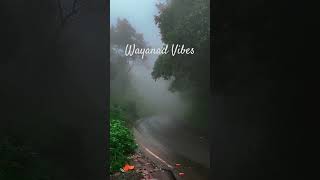 Wayanad Vibes 🌴📃 Loc📍 Nedumpoil Churam,#wayanad #misty #vibes