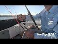 fishing the southern end of pumicestone passage between bribie and toorbul