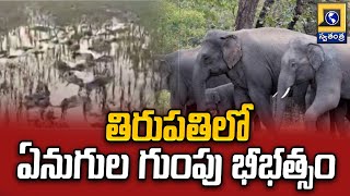 తిరుపతిలో ఏనుగుల గుంపు భీభత్సం | Elephants Hulchul in Chandragiri | Swatantra Telugu News