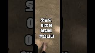 맨발걷기기록:24.6.7 아침, 파주금촌 후곡근생공원 약30분~