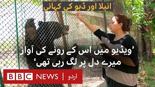 Anila & Daboo: Meet the woman who raised a bear cub like her own child - BBC URDU