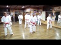 pinan nidan okinawa shidokan shorin ryu