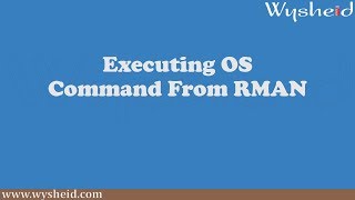 Executing OS Commands from RMAN
