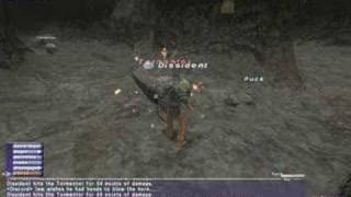 The Puck FFXI Beasmaster