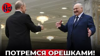 Только нелюди называет “движухой”  людское горе, виновниками которого является они сами! @omtvreal