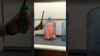 Effect of temperature on a combustion reaction #chemistry #chemicalreaction #combustion