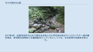 杜々の森名水公園