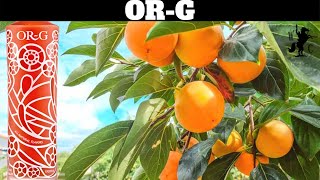 OR-G (Persimmon) Liqueur Review