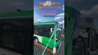 【いすゞエルガ】北海道苫小牧エリアで再々活躍！道南バスで一般乗合に#ブタ店長 #西武総合企画#西武バス #いすゞエルガ#道南バス#苫小牧市営バス#中古バス#乗合#マニア #発見 #北海道 #登別市