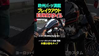 ブレイクアウト最新カスタム/ヨーロッパ製パーツ満載#harleydavidson #harleydavidson #ハーレーダビッドソン#FXBR#EUROCUSTOM#ブレイクアウト