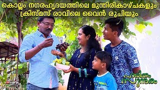 കൊല്ലം നഗര ഹൃദയത്തിലെ മുന്തിരി കാഴ്ച്ചകളും ക്രിസ്‌മസ്‌ രാവിലെ വൈൻ രുചിയും | EP 257