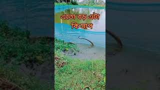 মস্তবড় সাপ কি সাপ এইটা বলেন তো #shorts