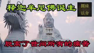 2022年佛诞节在泰国|佛陀在2,500年前诞生于印度|香港佛誕|泰國佛誕