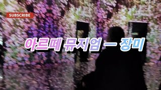 [#일상브이로그]#vlog#아르떼뮤지엄 3d 입체영상인데 신기했어요 엄마도 눈동글 위치는 영도