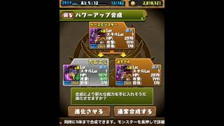 【パズドラ】究極進化　カオスデビルドラゴン　→　サイクロンデビルドラゴン