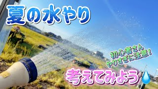 【夏の水やり】初心者さん✨夏の水やりをそろそろ考えてみよう✊✨【多肉育て方】