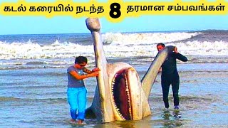 கடற்கரையில் நடந்த சம்பவங்கள் || Eight Strangest Things Found On Beaches || Tamil Info Share