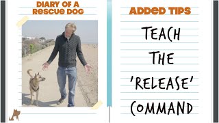 Teach the release command - dog training
