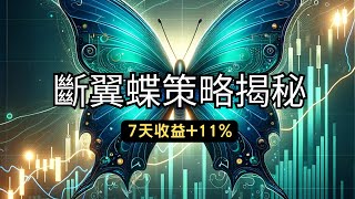 🌟 短期斷翼蝶式交易全解析：每日賺取收益的策略祕密 20241124