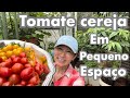 COMO PLANTAR TOMATE CEREJA NO VASO E COMO FAZER A PODA@hortadajaponeuza123